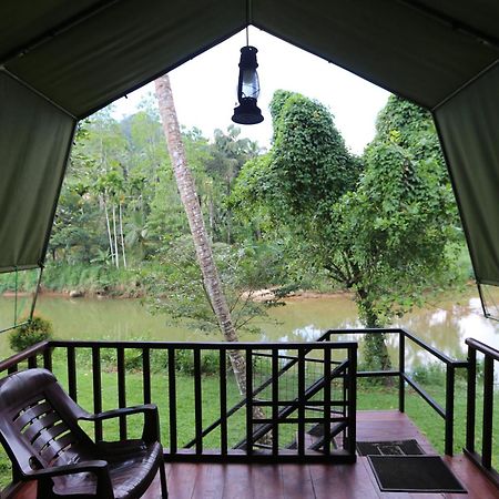 360 Rainforest Deniyaya Exterior foto