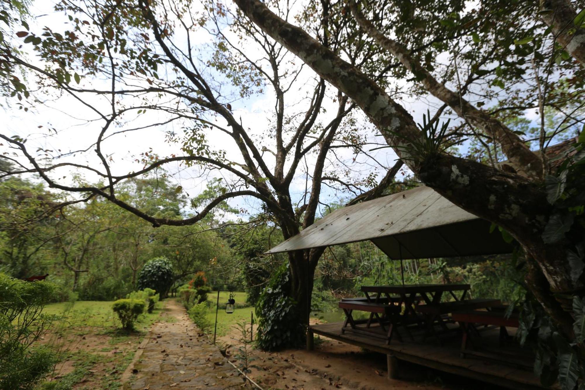 360 Rainforest Deniyaya Exterior foto