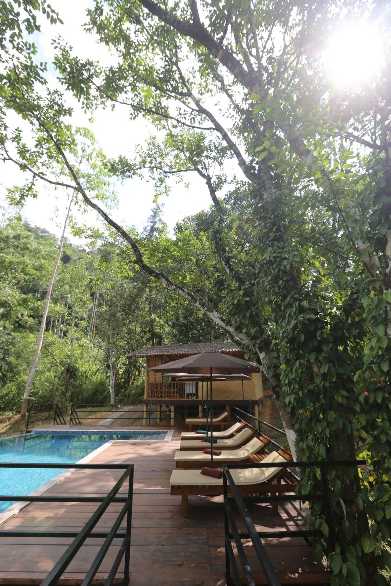 360 Rainforest Deniyaya Exterior foto