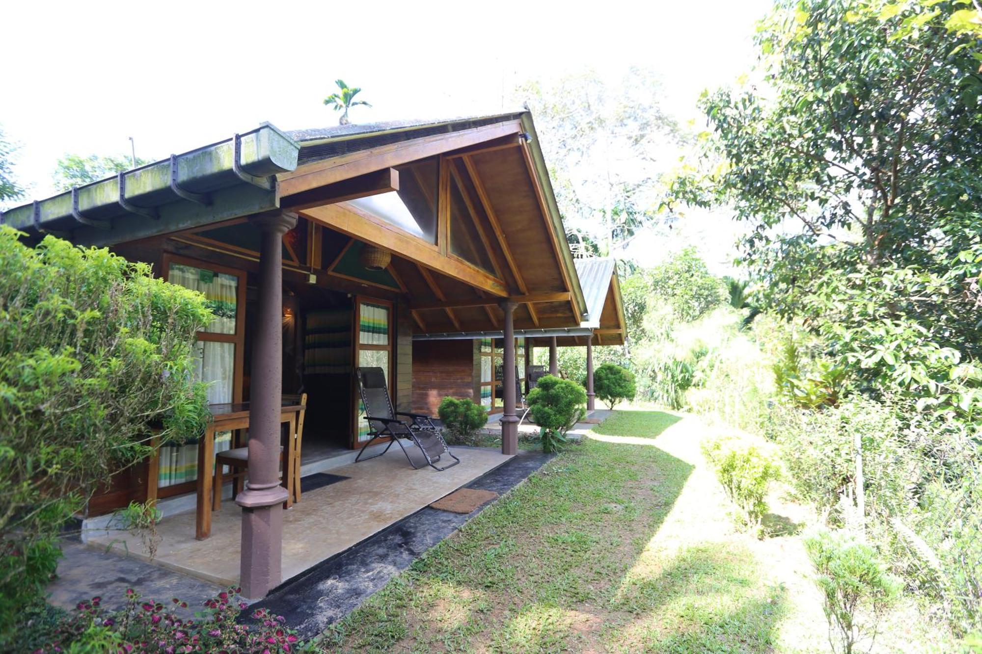 360 Rainforest Deniyaya Exterior foto